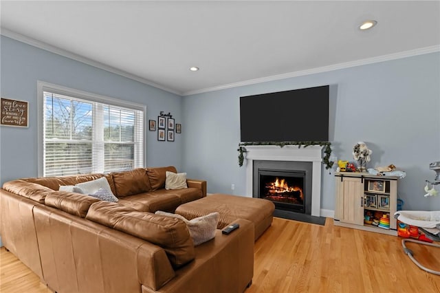 living room with light wood-type flooring and ornamental molding