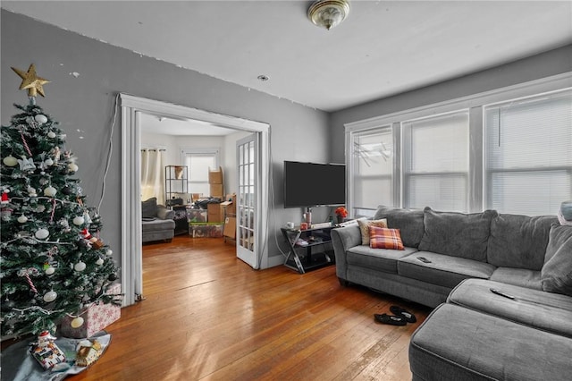 living room featuring hardwood / wood-style flooring