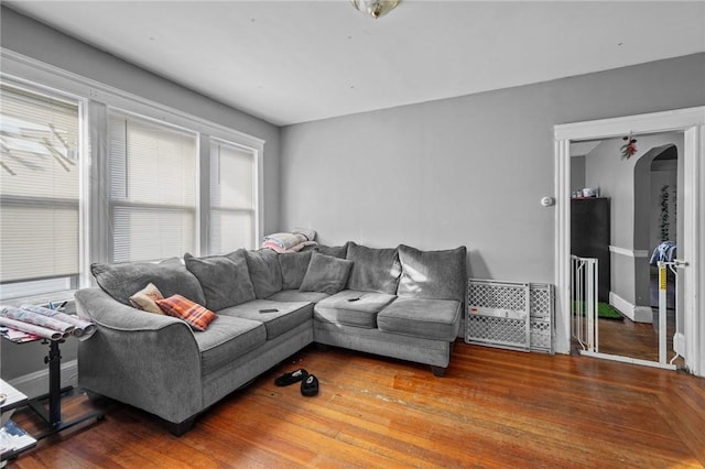 living room with wood-type flooring