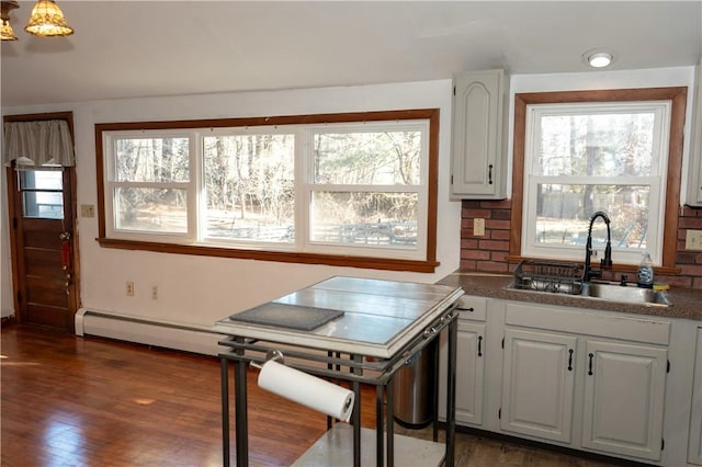 kitchen featuring white cabinets, dark hardwood / wood-style flooring, sink, and a baseboard radiator