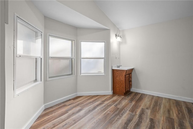 interior space featuring wood-type flooring, vanity, and lofted ceiling