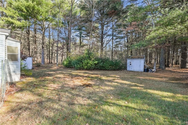 view of yard featuring a storage shed