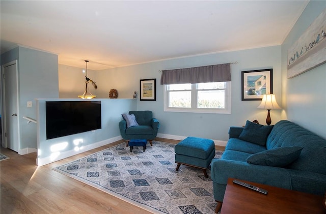 living room featuring wood-type flooring