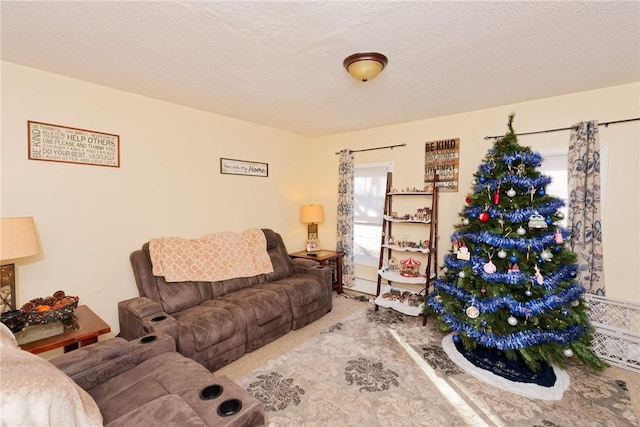 carpeted living room featuring a textured ceiling