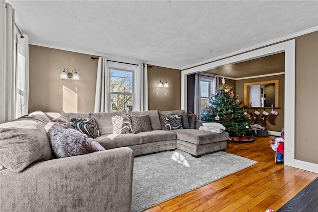 living room with hardwood / wood-style flooring, a healthy amount of sunlight, and ornamental molding