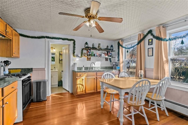 dining room with a wealth of natural light, ceiling fan, light hardwood / wood-style flooring, and sink