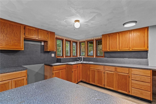 kitchen featuring sink