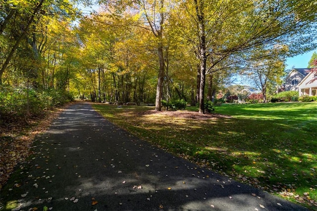 view of road