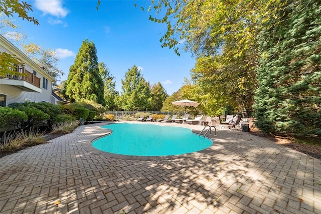 view of pool with a patio area