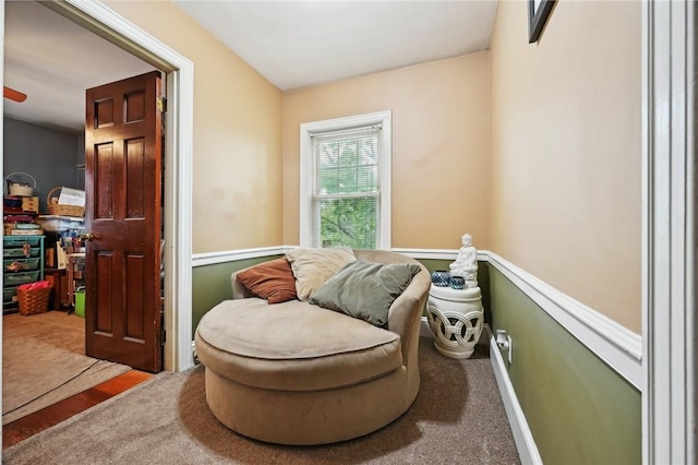 sitting room featuring carpet flooring