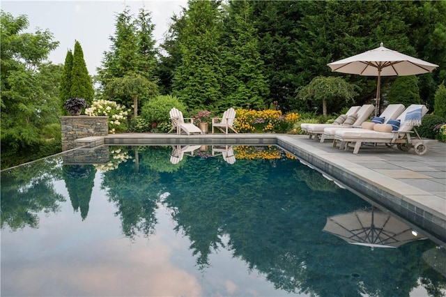 outdoor pool with a patio