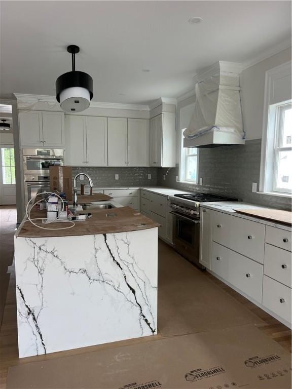 15 Cora St, East Greenwich, RI 02818 - kitchen with stainless steel appliances, premium range hood, plenty of natural light, a sink, and crown molding