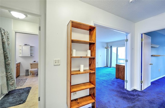 hall featuring carpet flooring and a textured ceiling