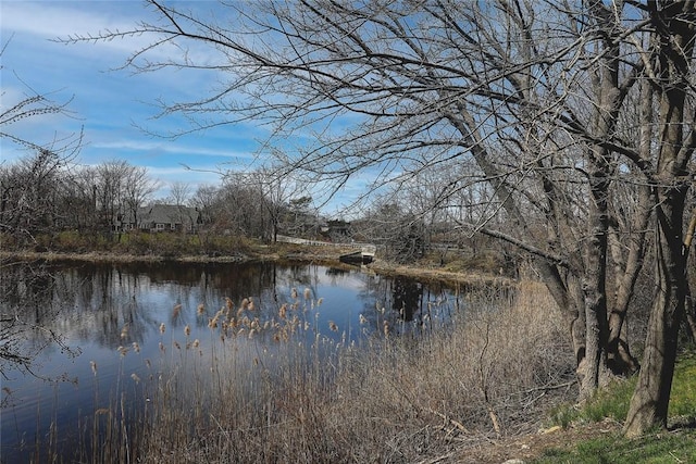 water view