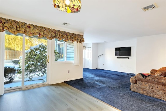 living room with hardwood / wood-style flooring and plenty of natural light