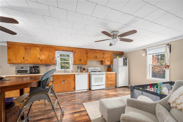 kitchen featuring crown molding, dark hardwood / wood-style flooring, white appliances, and sink