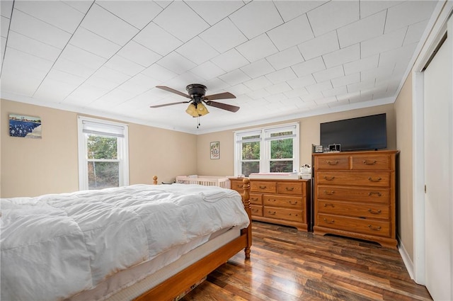 bedroom featuring multiple windows, dark hardwood / wood-style flooring, ceiling fan, and crown molding