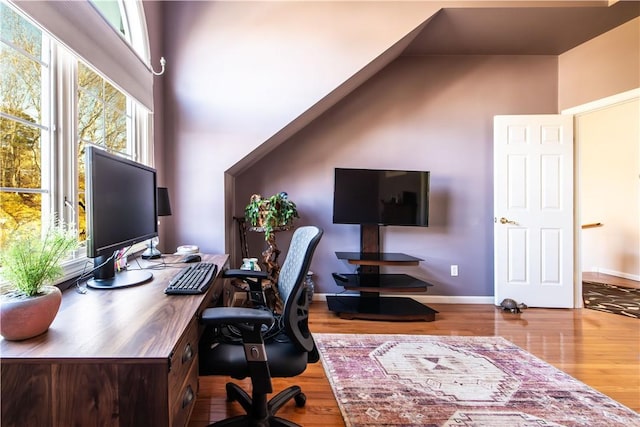 office space featuring wood-type flooring