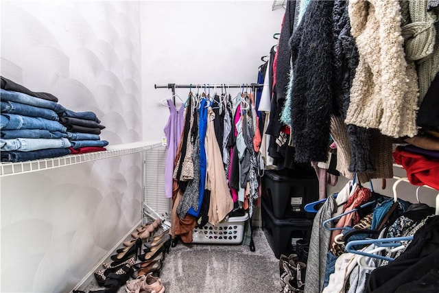 spacious closet featuring carpet