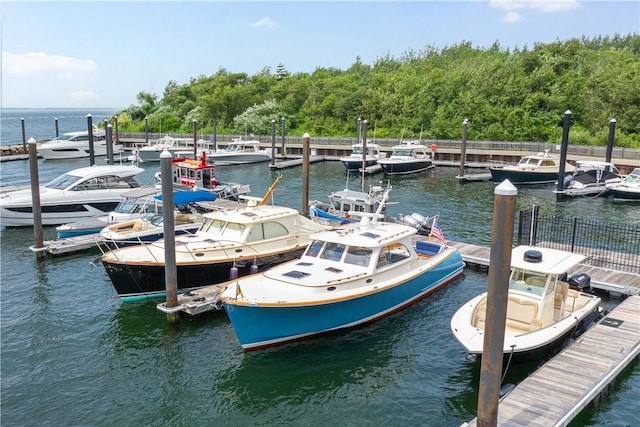 dock area with a water view