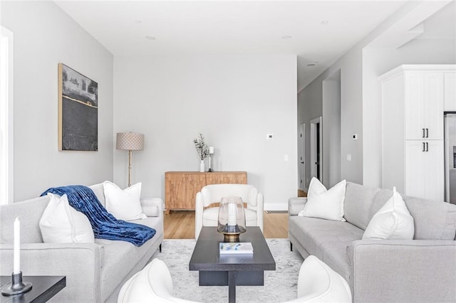 living room with light hardwood / wood-style floors