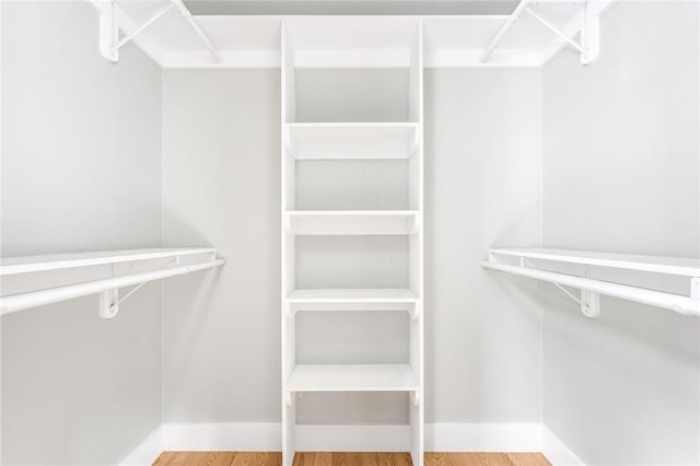 spacious closet with wood-type flooring