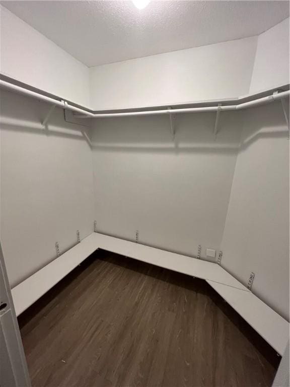 walk in closet with dark wood-type flooring