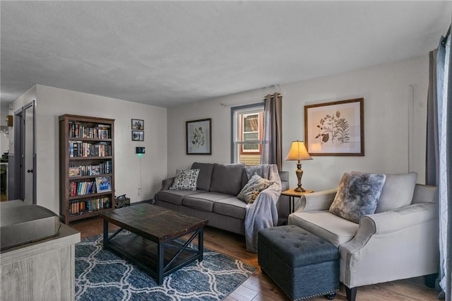 living room with hardwood / wood-style flooring