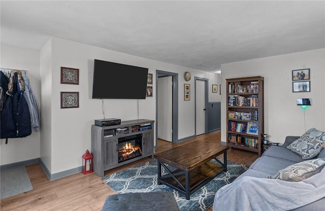 living room with wood-type flooring