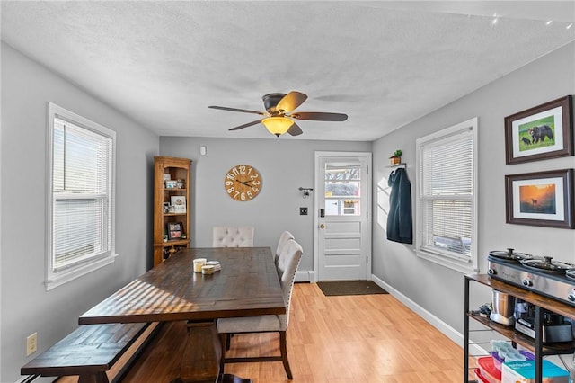 dining room featuring ceiling fan, light hardwood / wood-style floors, a textured ceiling, and a wealth of natural light