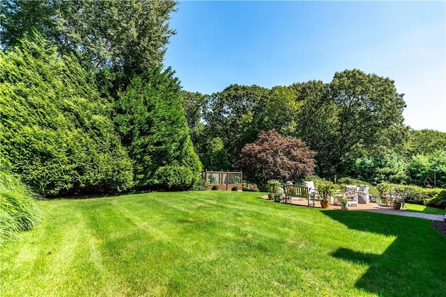 view of yard with a patio