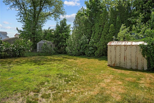 view of yard with a storage unit