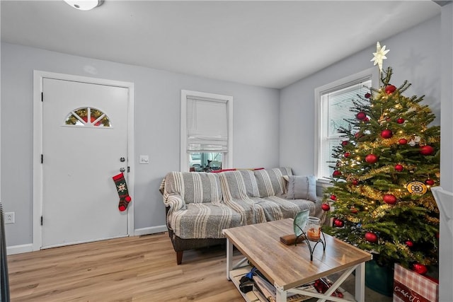 living room with light hardwood / wood-style floors