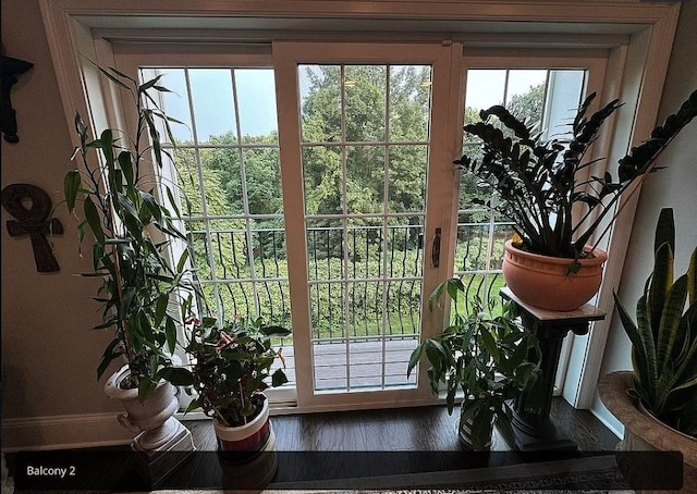 doorway featuring plenty of natural light