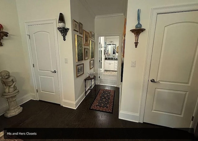 hall featuring crown molding and dark wood-type flooring