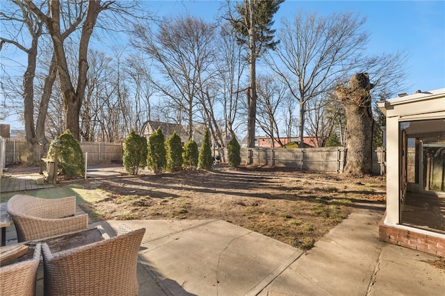 view of yard featuring a patio area