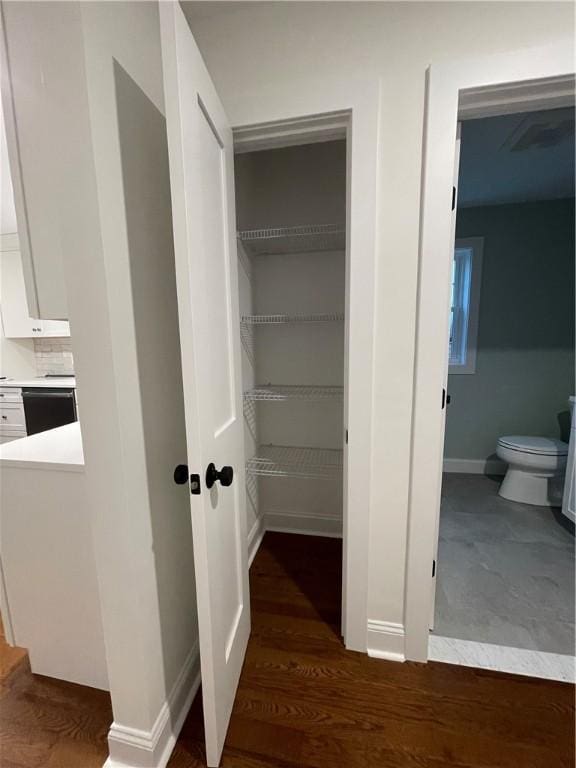 view of closet