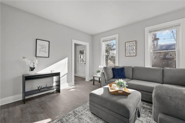 living room with hardwood / wood-style floors