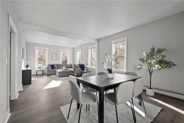 dining room featuring hardwood / wood-style flooring