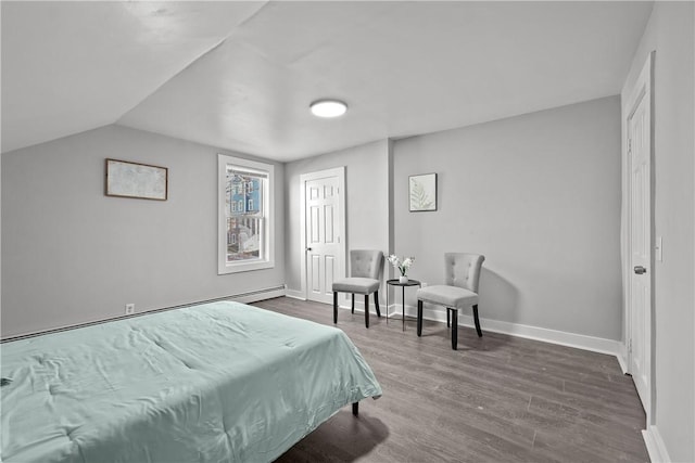 bedroom featuring lofted ceiling and dark wood-type flooring