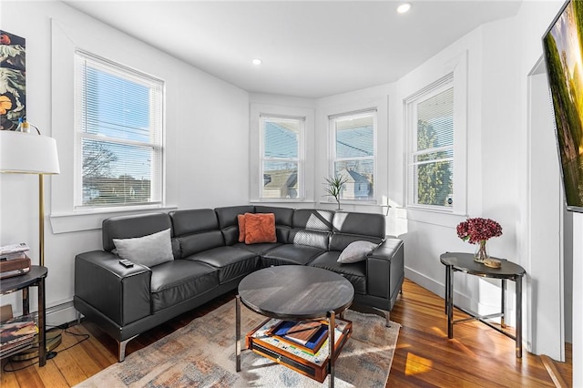 living room with wood-type flooring