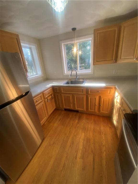 kitchen featuring plenty of natural light, freestanding refrigerator, a sink, and light wood finished floors