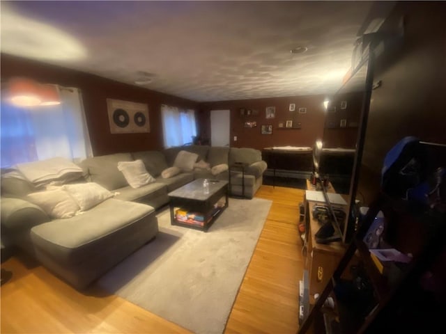 living room featuring light wood-type flooring