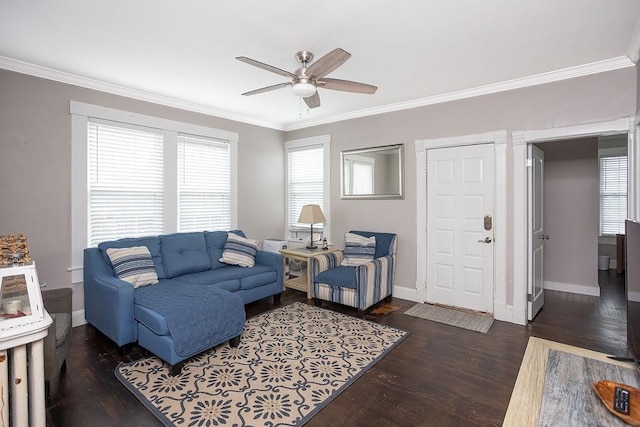 living room featuring crown molding, ceiling fan, and dark wood-type flooring