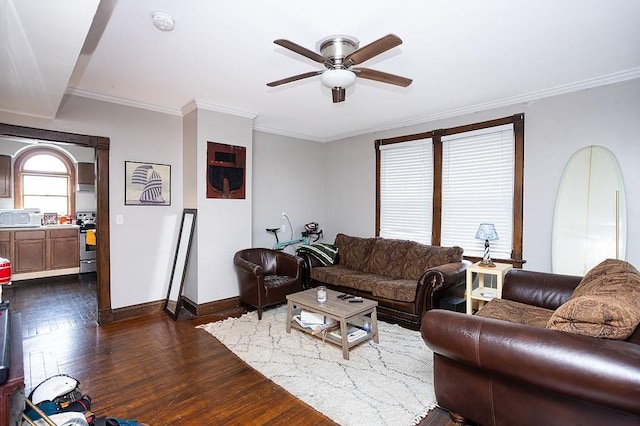 living room with dark hardwood / wood-style floors, ceiling fan, and crown molding