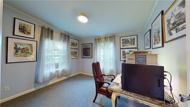 office with carpet flooring and ornamental molding