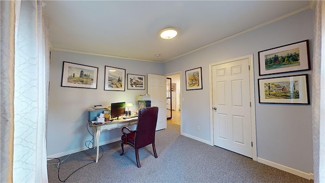 office with carpet flooring and crown molding