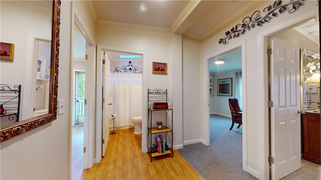 hall featuring light hardwood / wood-style floors and ornamental molding