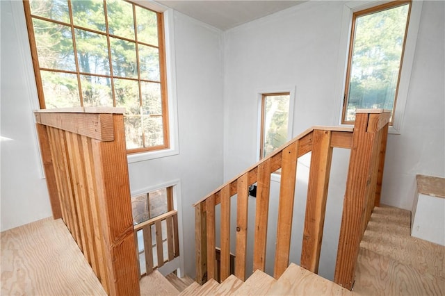 stairs featuring a wealth of natural light