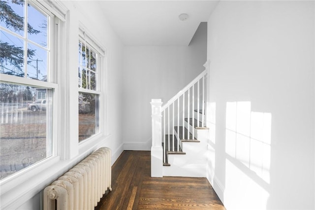 stairway featuring hardwood / wood-style floors and radiator